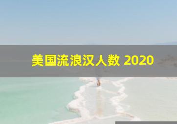 美国流浪汉人数 2020